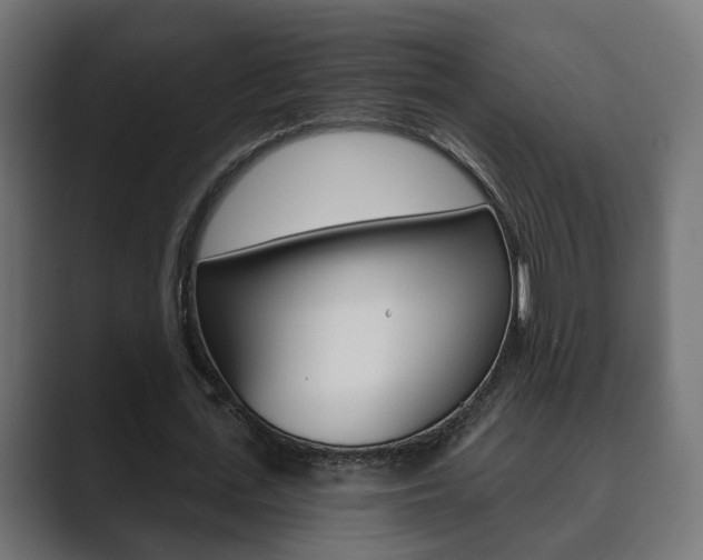 X0000089900723200706281134