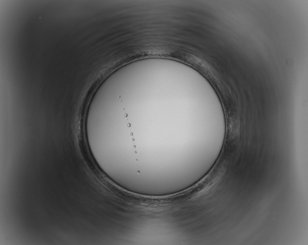 X0000089900725200706281134