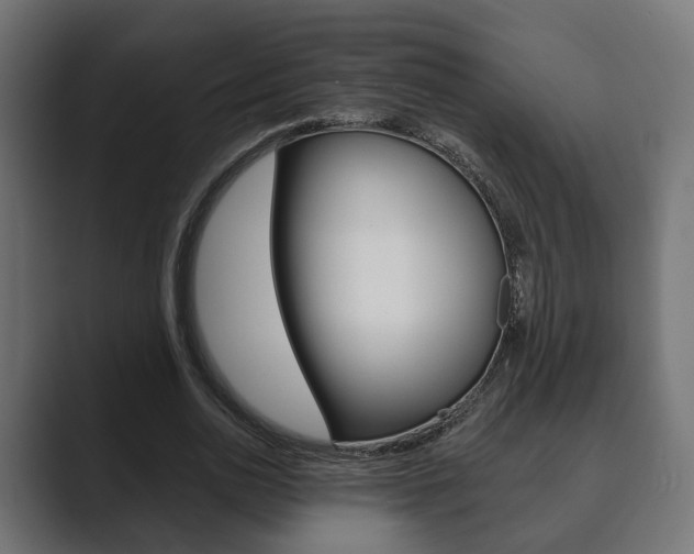 X0000089900726200706281134