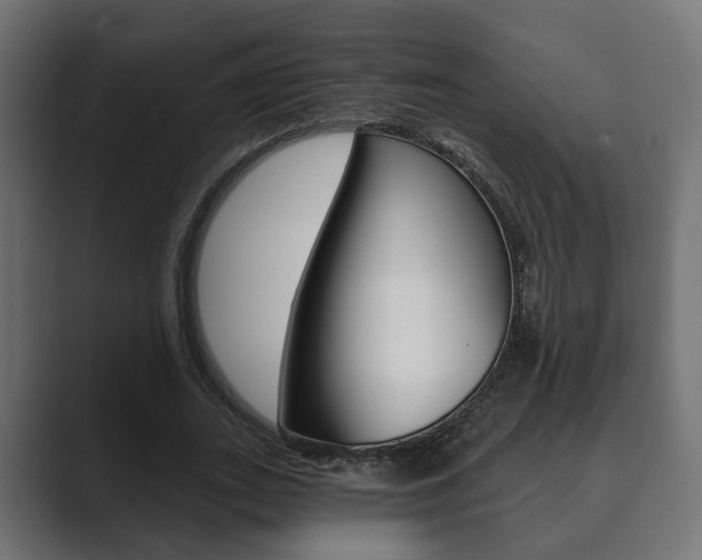 X0000089900727200706281134