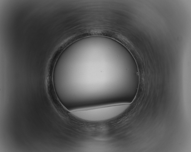 X0000089900728200706281134