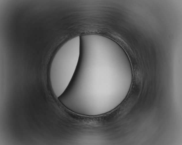 X0000089900729200706281134