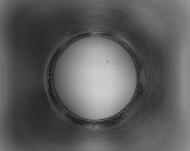 X0000089900730200706281134