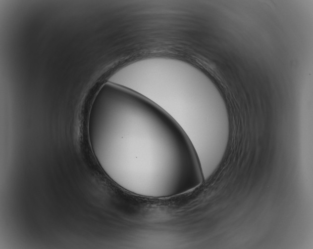 X0000089900732200706281134