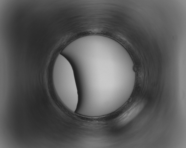 X0000089900734200706281134