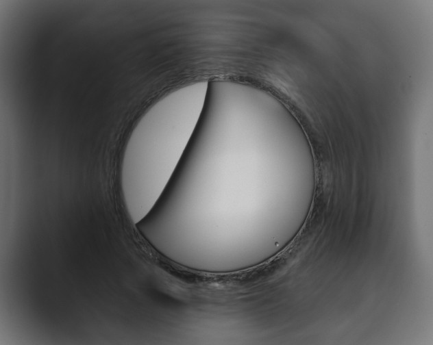 X0000089900737200706281135