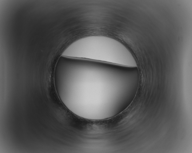 X0000089900739200706281135