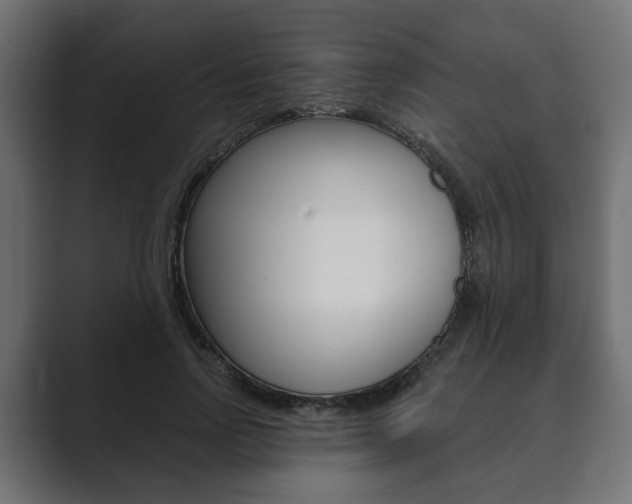 X0000089900742200706281135