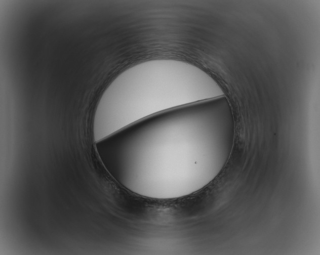 X0000089900743200706281135