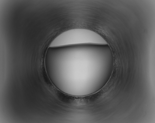 X0000089900744200706281135