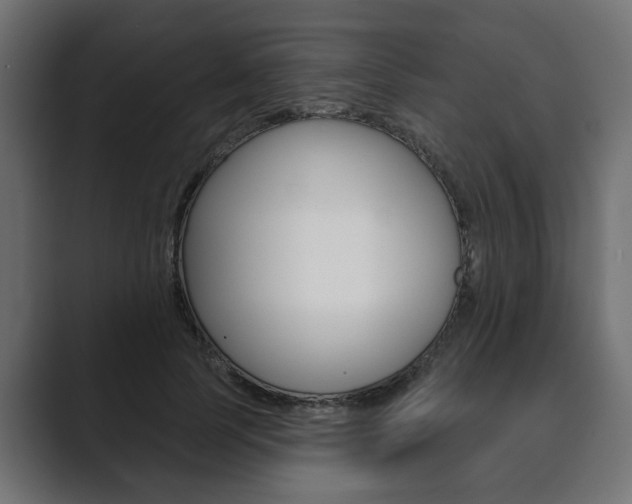X0000089900745200706281135