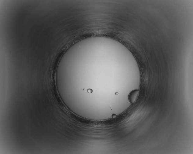 X0000089900746200706281135