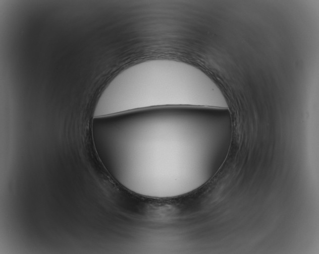 X0000089900747200706281135