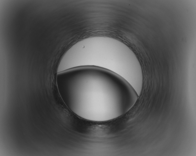 X0000089900748200706281135