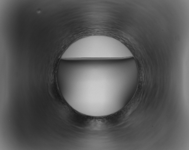 X0000089900751200706281135