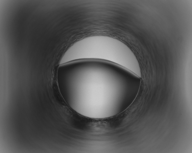X0000089900752200706281135