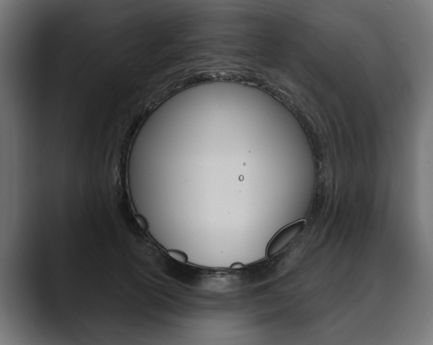 X0000089900754200706281135