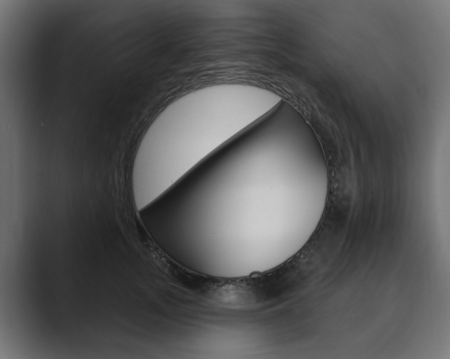 X0000089900755200706281135