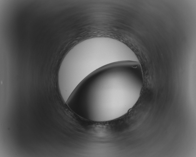 X0000089900756200706281135