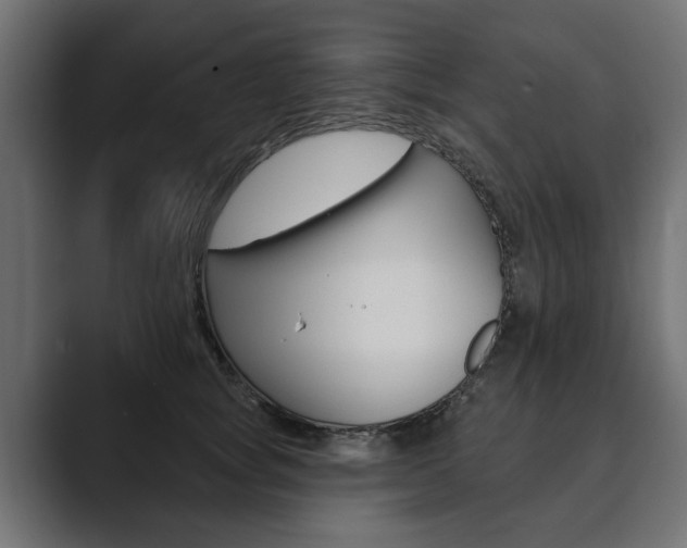 X0000089900757200706281135