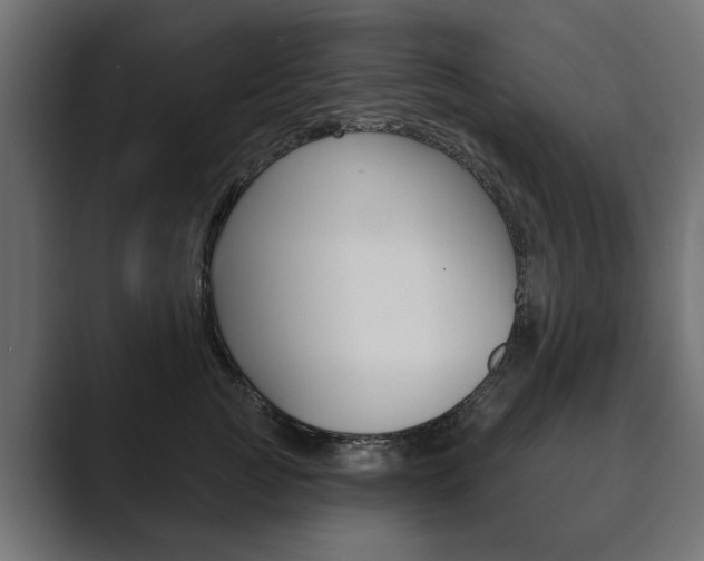 X0000089900761200706281135