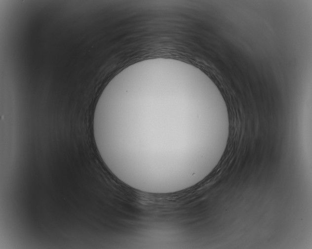 X0000089900762200706281135