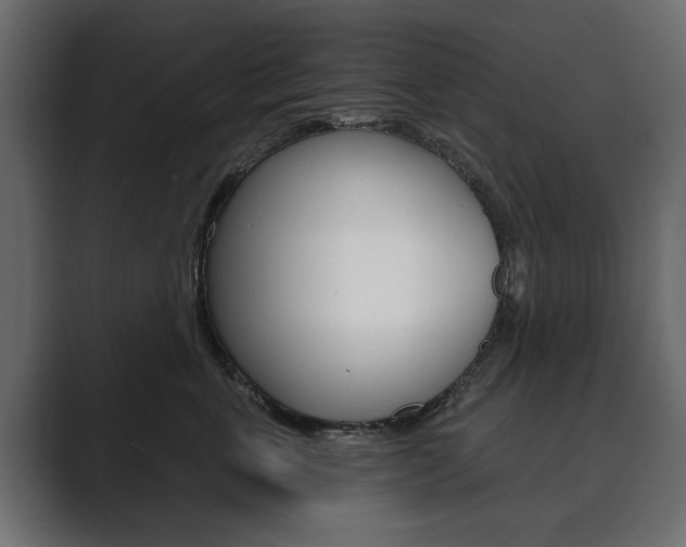 X0000089900763200706281135