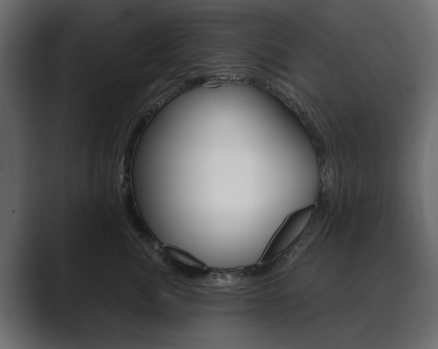 X0000089900764200706281135