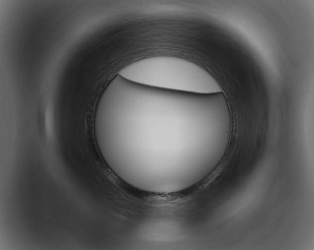 X0000089900765200706281135