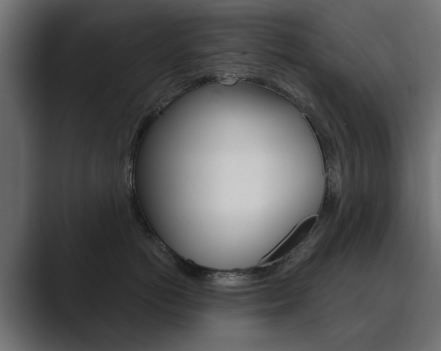 X0000089900766200706281135