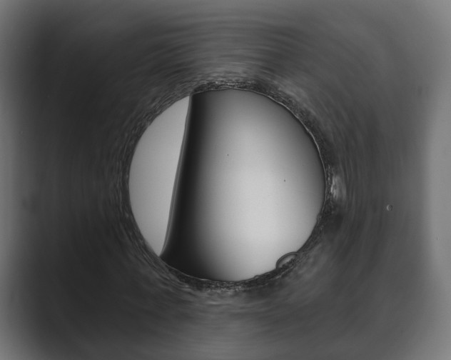 X0000089900771200706281134