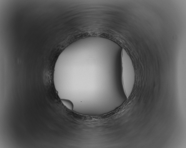 X0000089900772200706281134