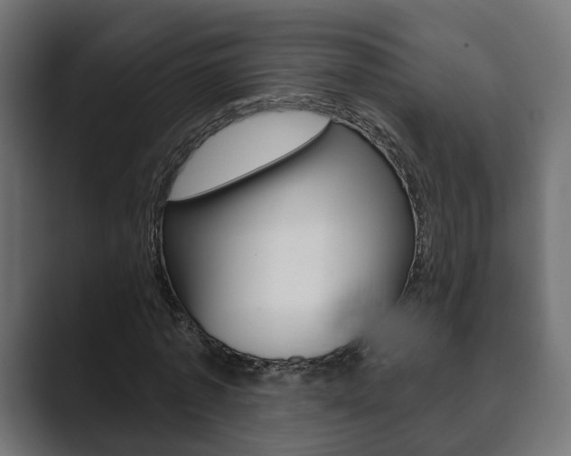 X0000089900773200706281134