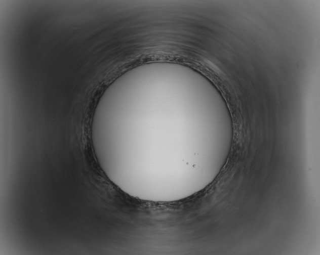 X0000089900774200706281134