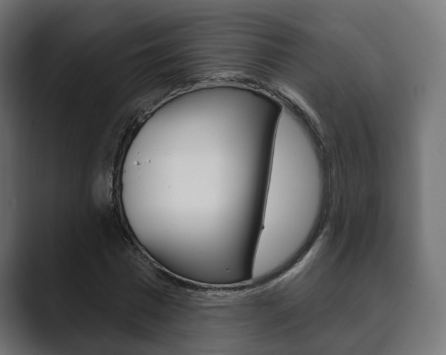 X0000089900777200706281134