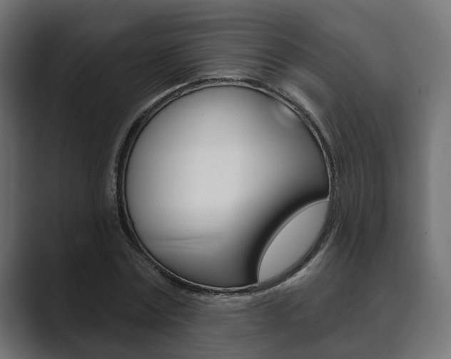 X0000089900779200706281134