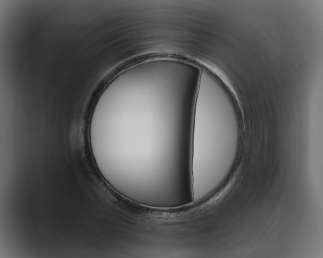 X0000089900783200706281134