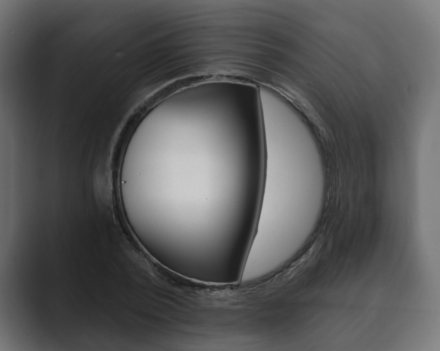 X0000089900784200706281134