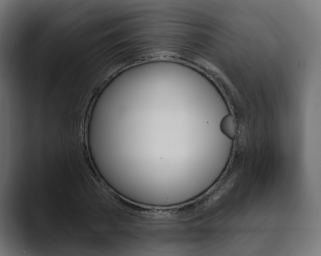 X0000089900785200706281134
