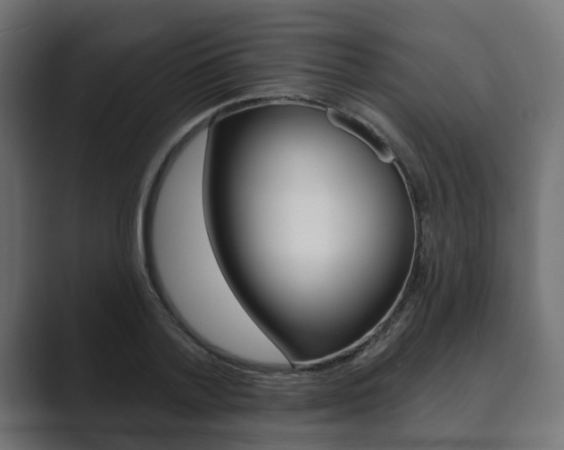 X0000089900788200706281134