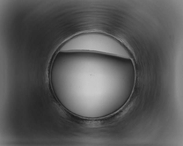 X0000089900789200706281134
