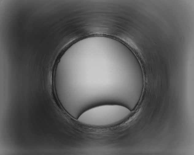 X0000089900790200706281134
