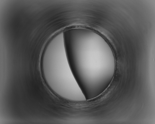 X0000089900791200706281134