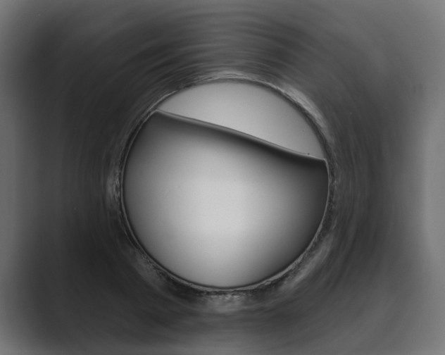 X0000089900793200706281134