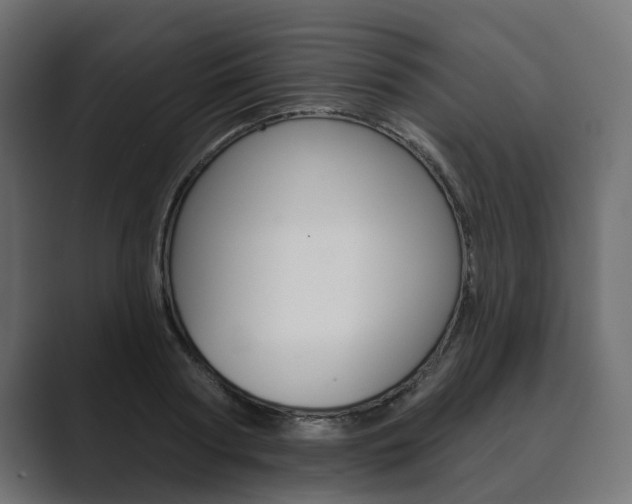 X0000089900794200706281134