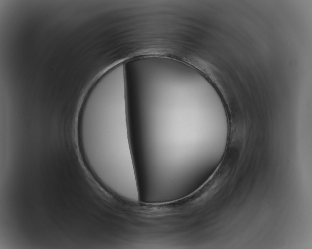 X0000089900795200706281134