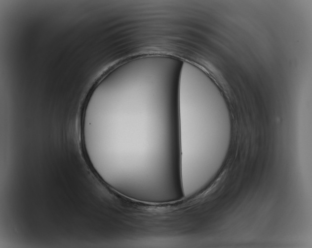 X0000089900796200706281134