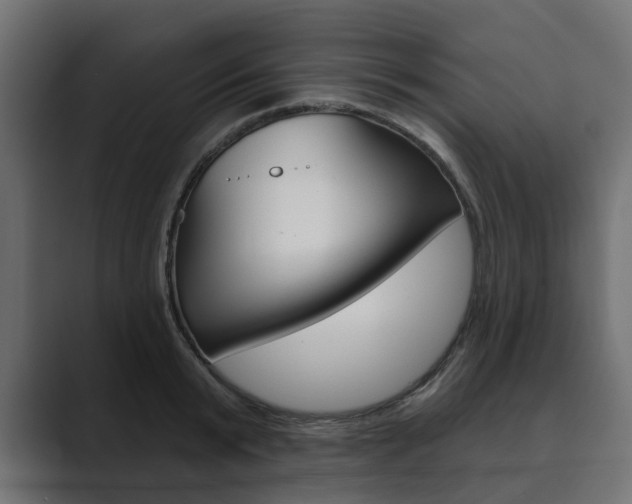 X0000089900799200706281134