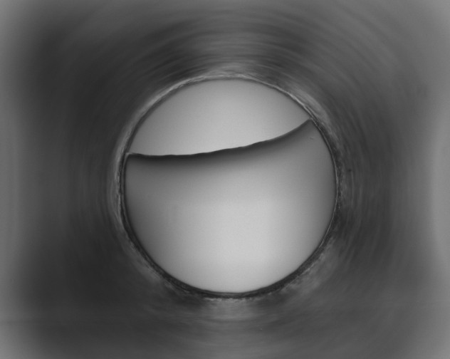 X0000089900800200706281134