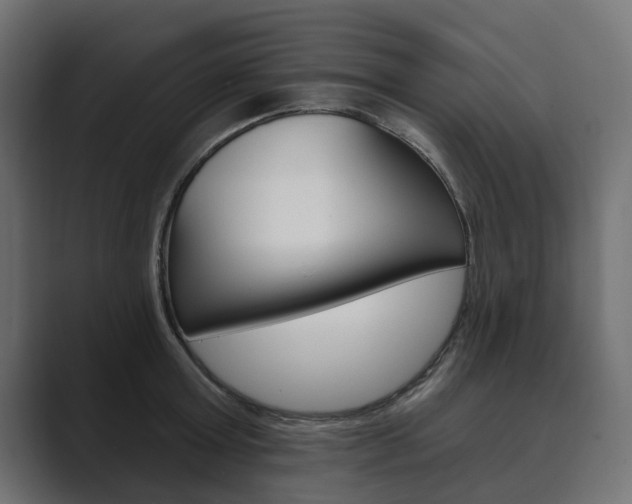 X0000089900803200706281134
